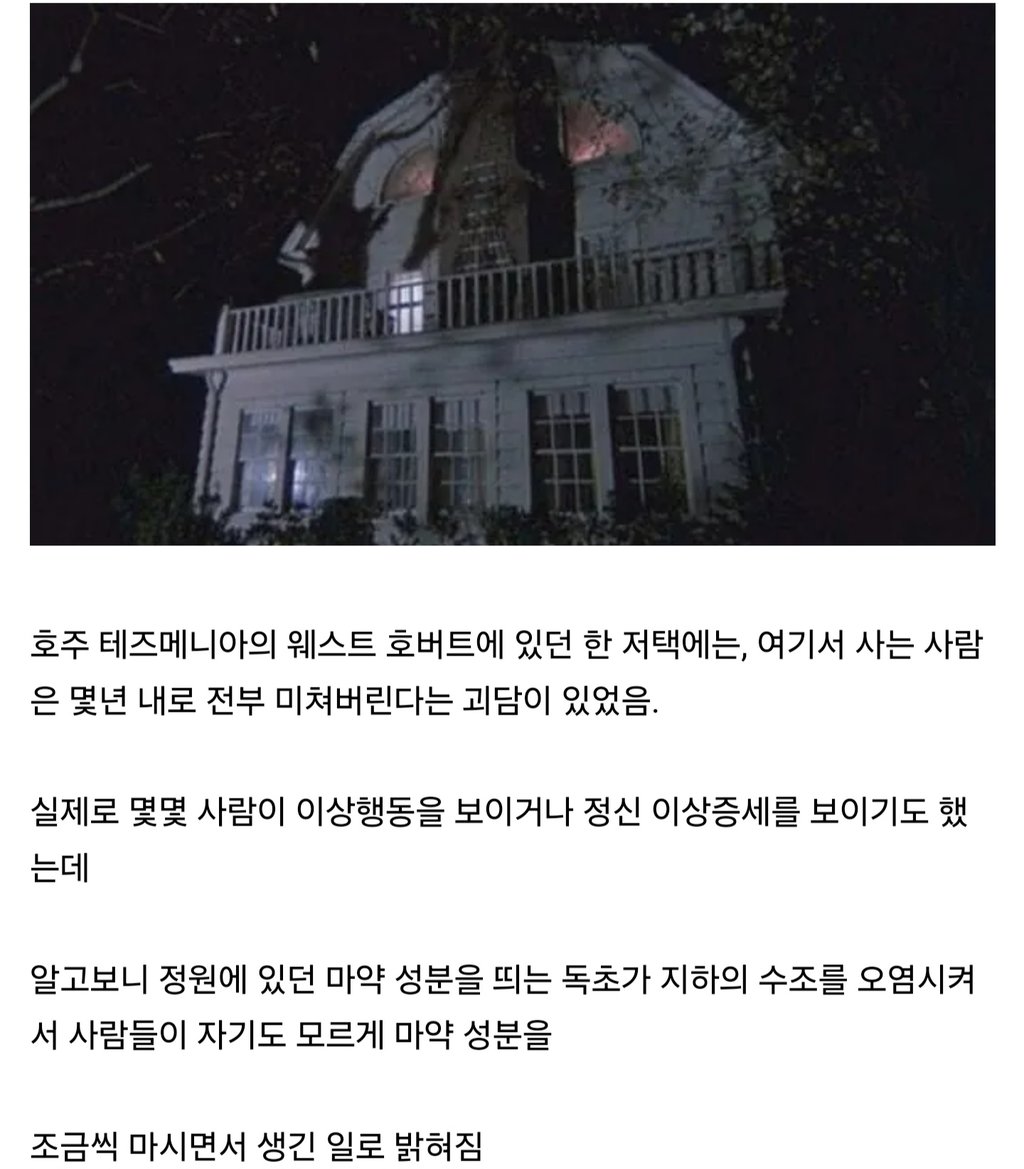 알고보면 뭐 좆도 없는 괴담들 8