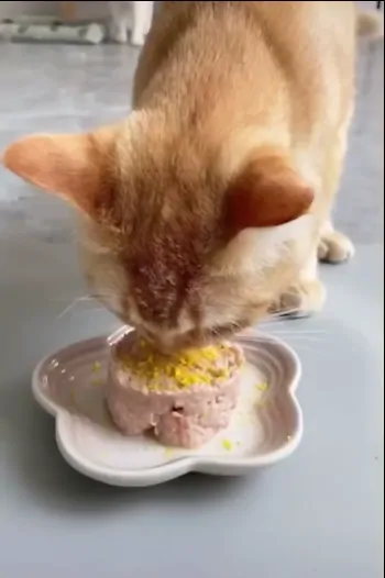 개설치는 오리