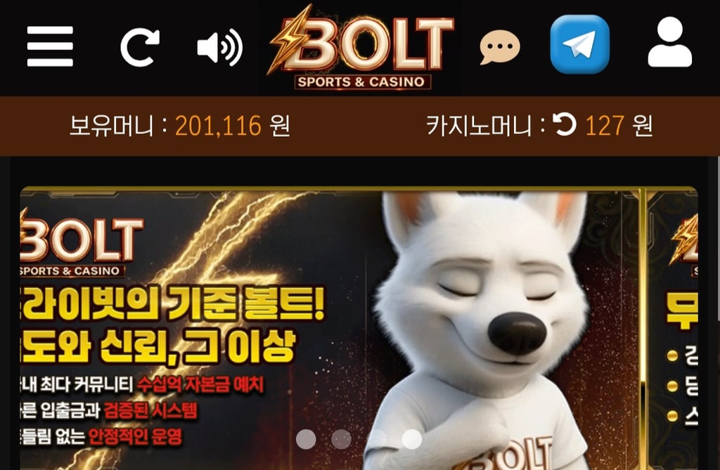 볼트카지노 후기 1