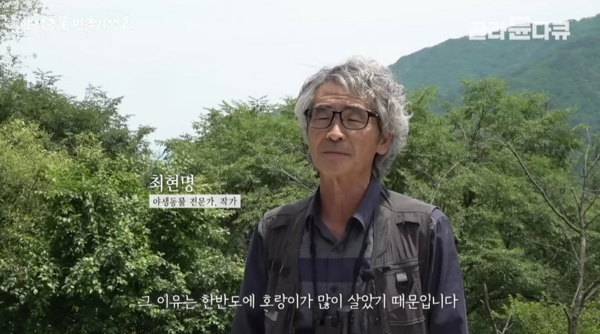 한국엔 왜 늑대 설화가 없을까 3