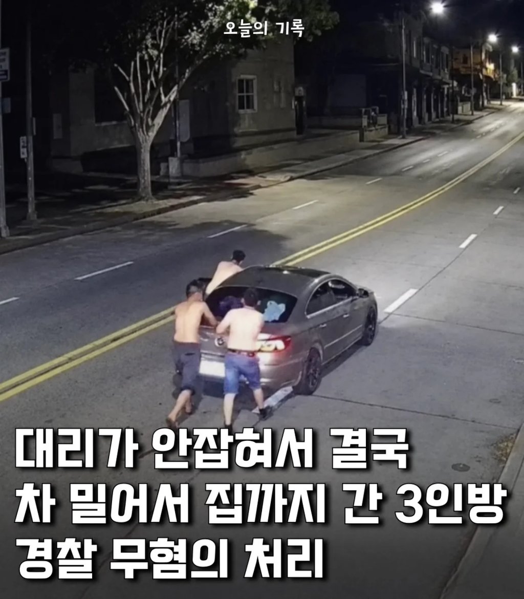 속보)대리 안잡힌다고 음주운전한 3명 무혐의