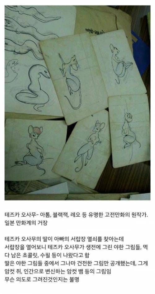 일본 만화계의 거장이 남긴 그림