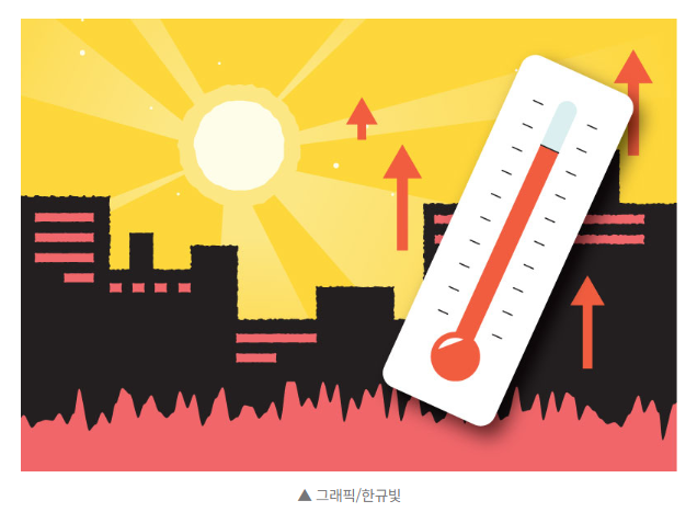 [속보] 폭염 속 밭에서 일하던 101세 할머니 숨져…강원 올해 첫 온열질환 사망 1