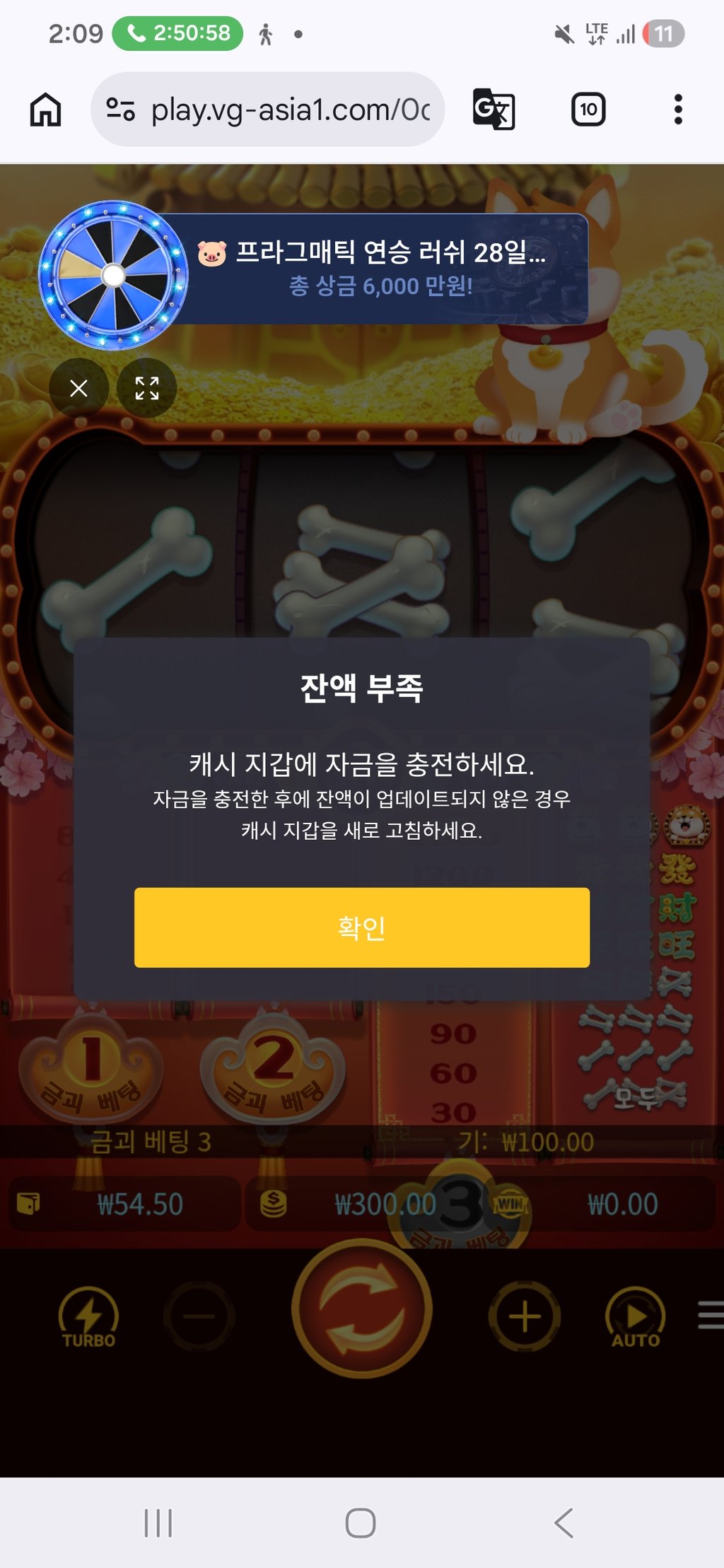 실벳 도지 사망엔딩