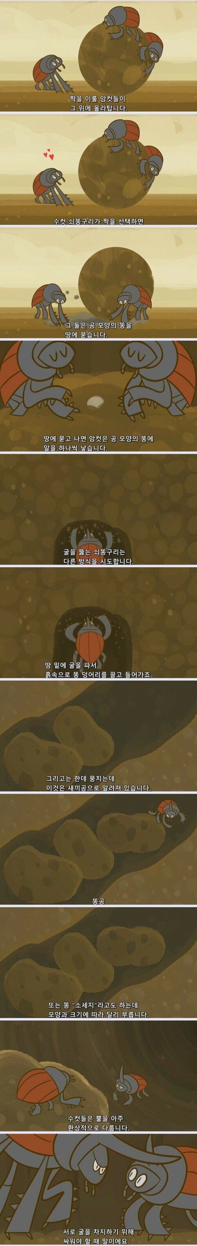 지구가 똥으로 뒤덮히지 않는 이유 (김 주의, 요약O) 3