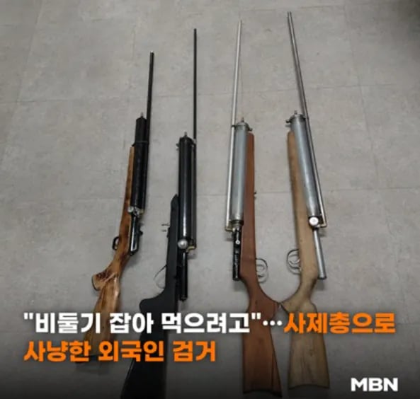 쇠구슬 사체총으로 비둘기 사냥하고 다닌 태국인 2명 강제 추방 4