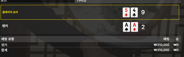소닉카지노후기 1