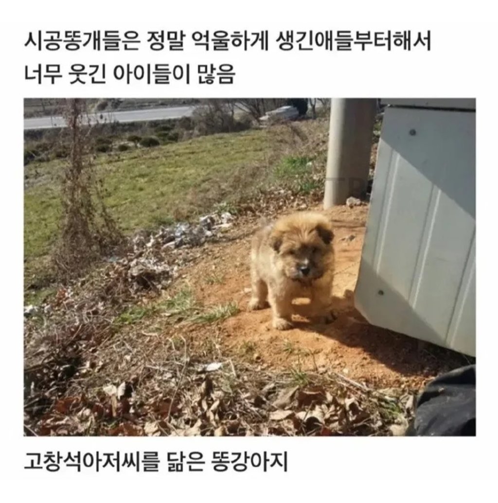 무시무시한 대한민국 시골 6
