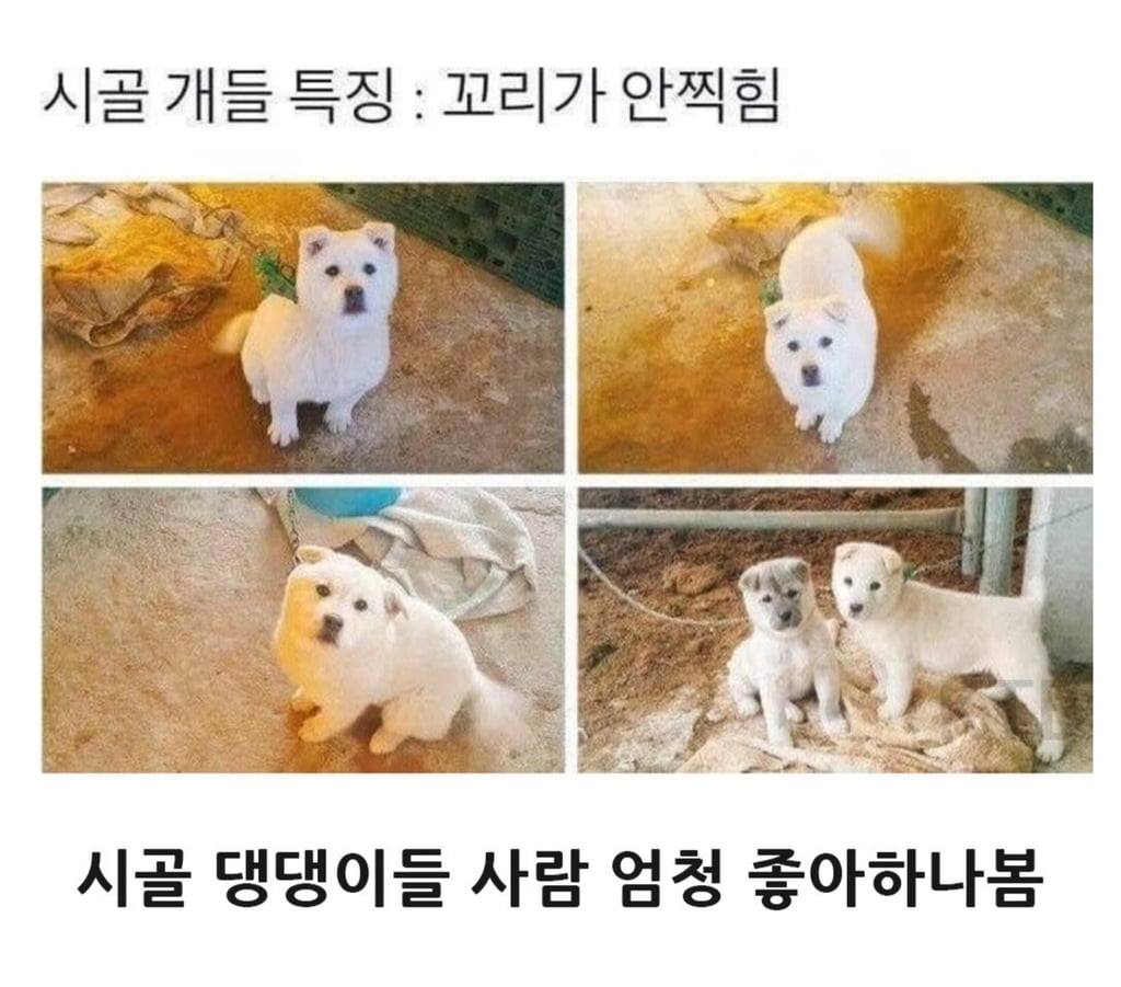 무시무시한 대한민국 시골 2