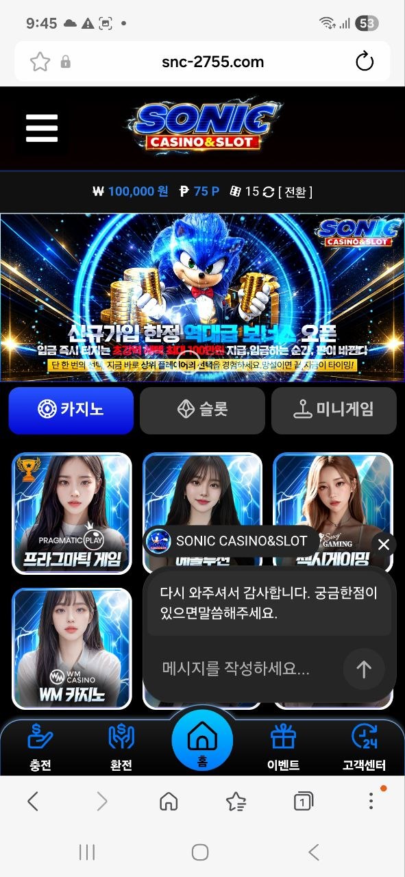 소닉사대