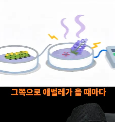 후천적 기억도 유전될 수 있다고??? 10