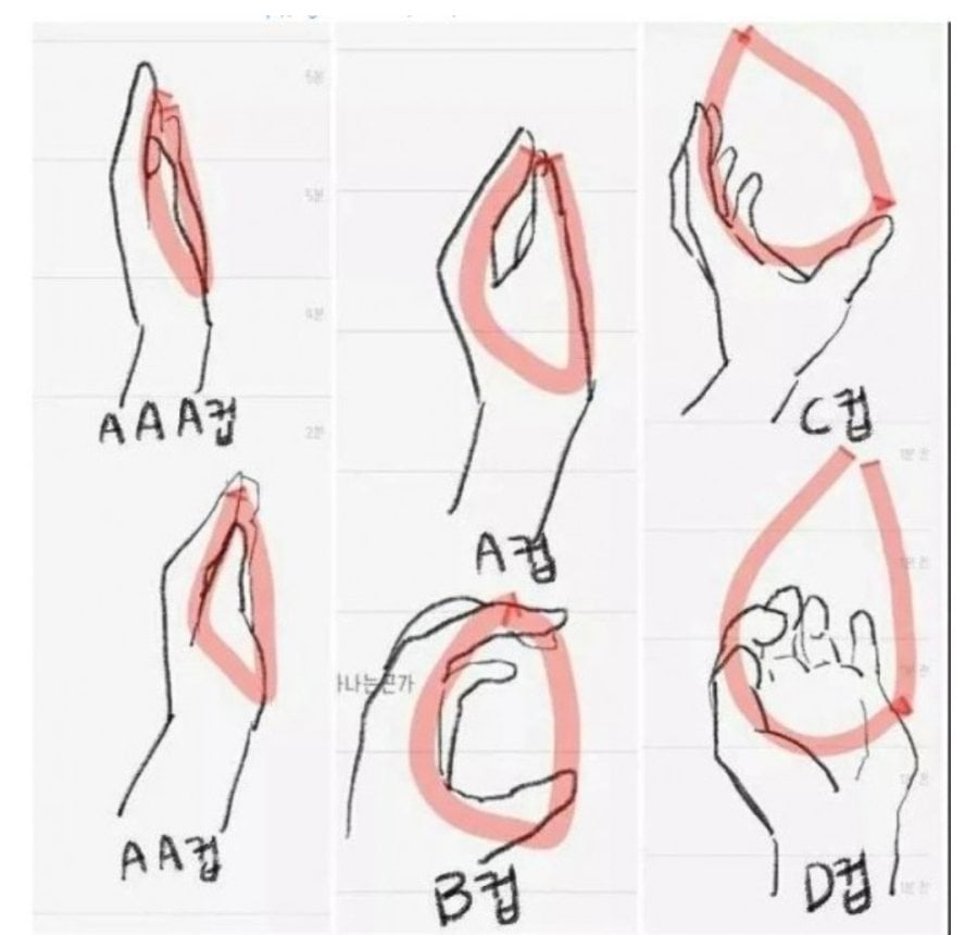 여자 가슴크기 체크