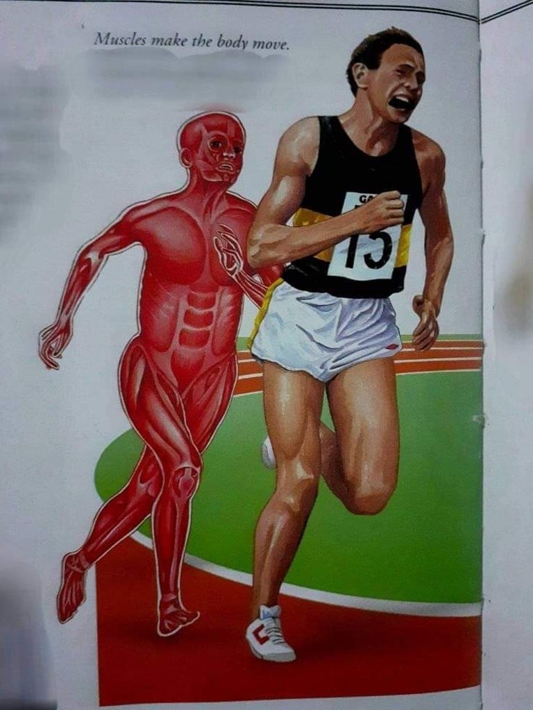 근육키우면 빨리 달리는이유