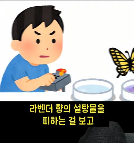 후천적 기억도 유전될 수 있다고??? 20