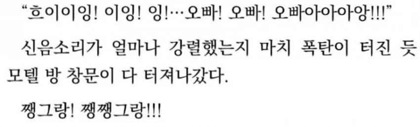 어느입본 소설의 성관계 묘사 ㅋㅋㅋ