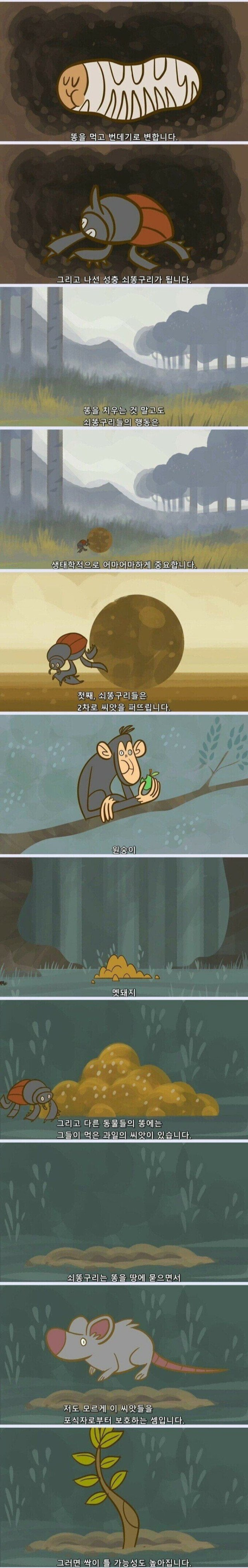 지구가 똥으로 뒤덮히지 않는 이유 (김 주의, 요약O) 5