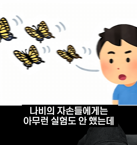후천적 기억도 유전될 수 있다고??? 18