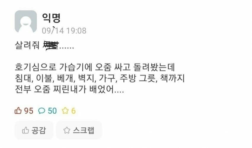 호기심의 문제
