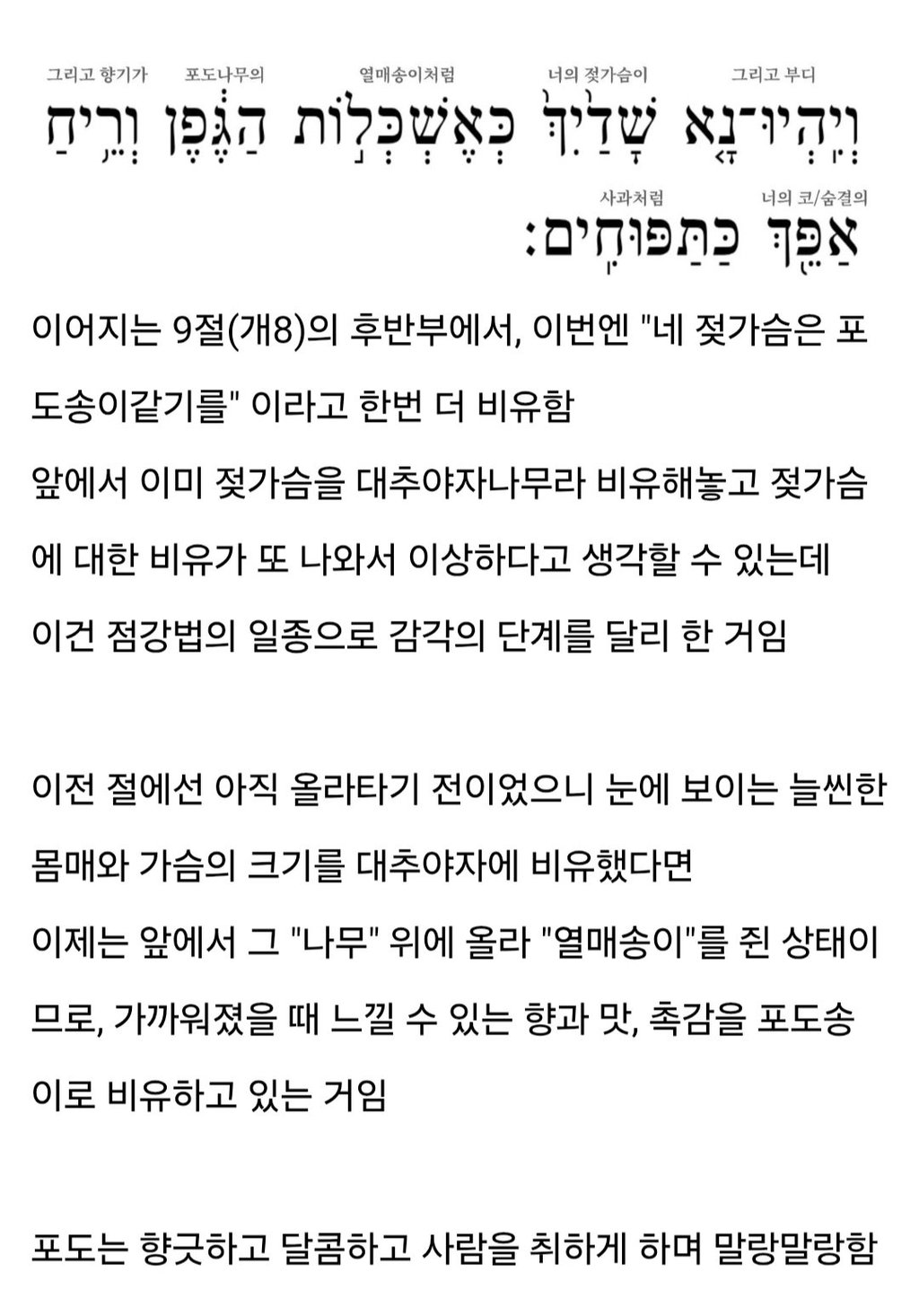 지혜의 왕 솔로몬, 여성 취향은 이랬다 4