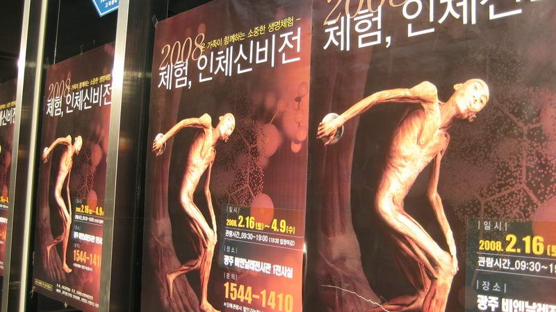 혐주의) 현대사회에선 절대 전시 불가능했을 전시전 ㄷㄷ 2