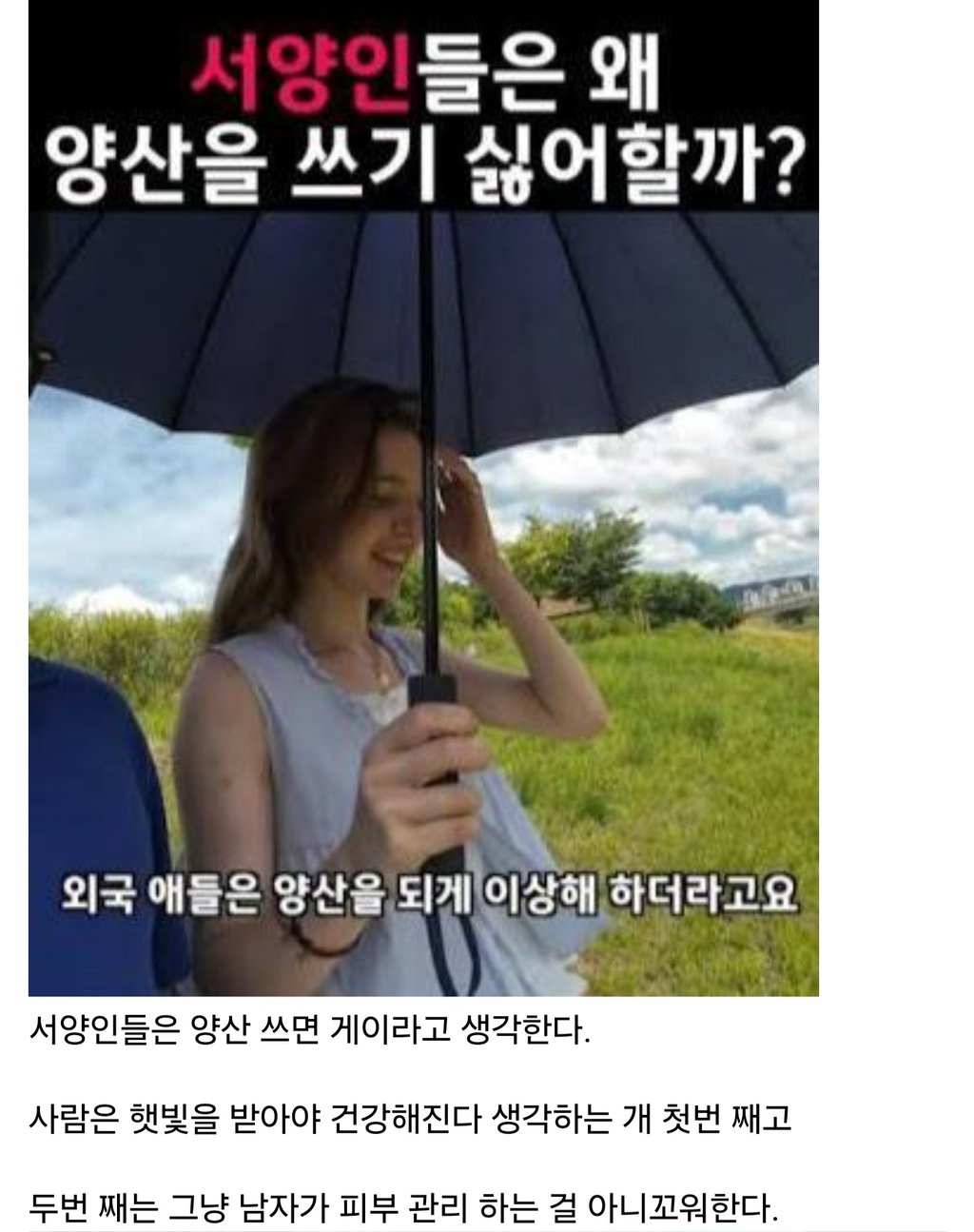 서양 : "으....양산은 게이의 상징이잖아 1