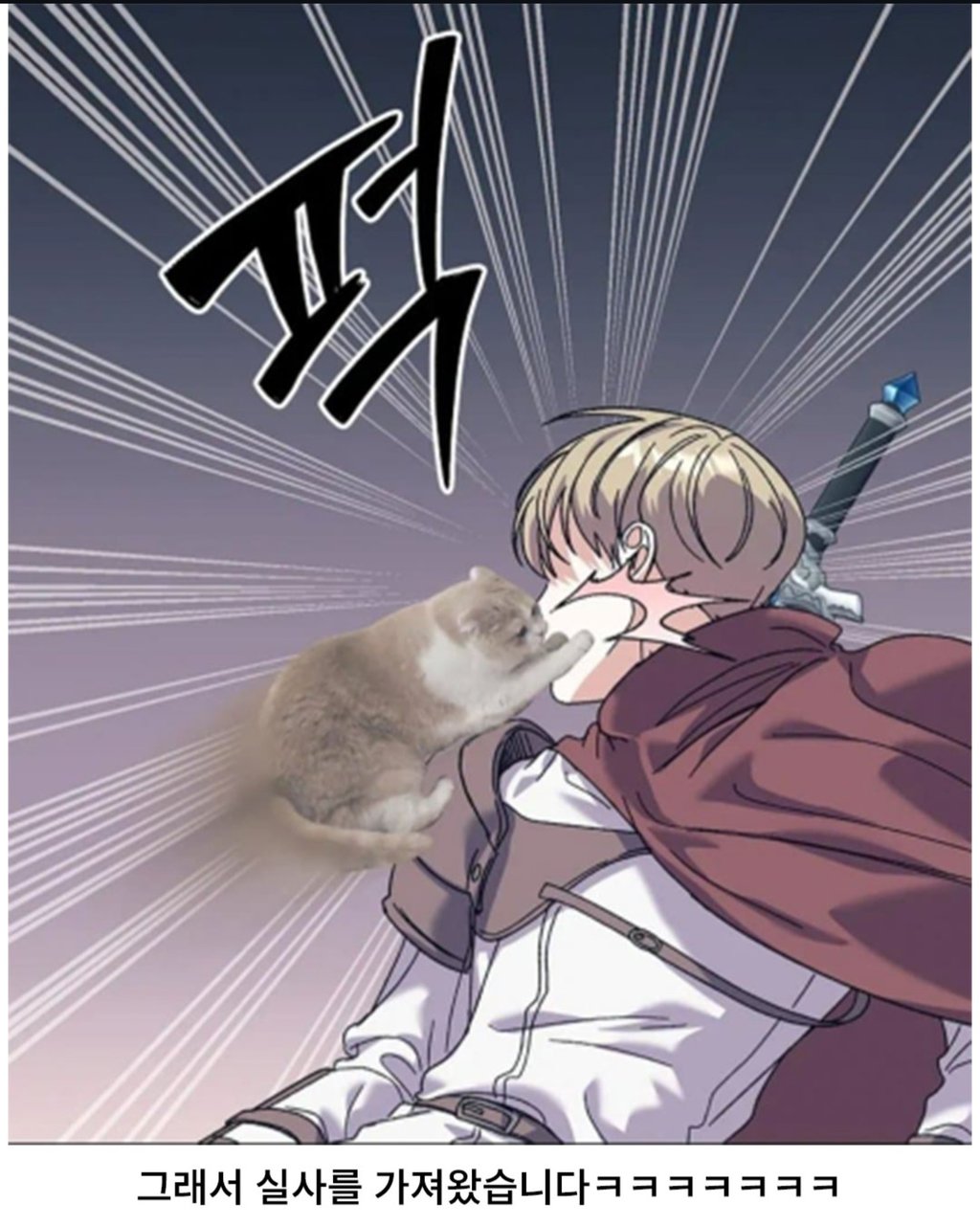 고양이 못 그리는 웹툰작가 ㅋㅋㅋㅋㅋㅋㅋㅋㅋ 4