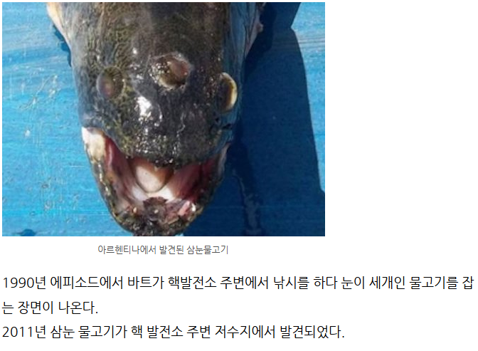 엄청난 적중률의 미래를 보인 심슨만화 예언 22가지 20