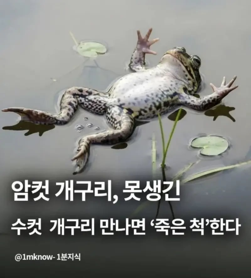암컷 살인마 oc ㄷㄷㄷㄷㄷㄷㄷㄷㄷㄷ