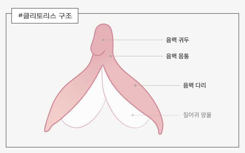 의외로 많은 여성이 삽입 오르가즘을 못 느끼는 이유 3