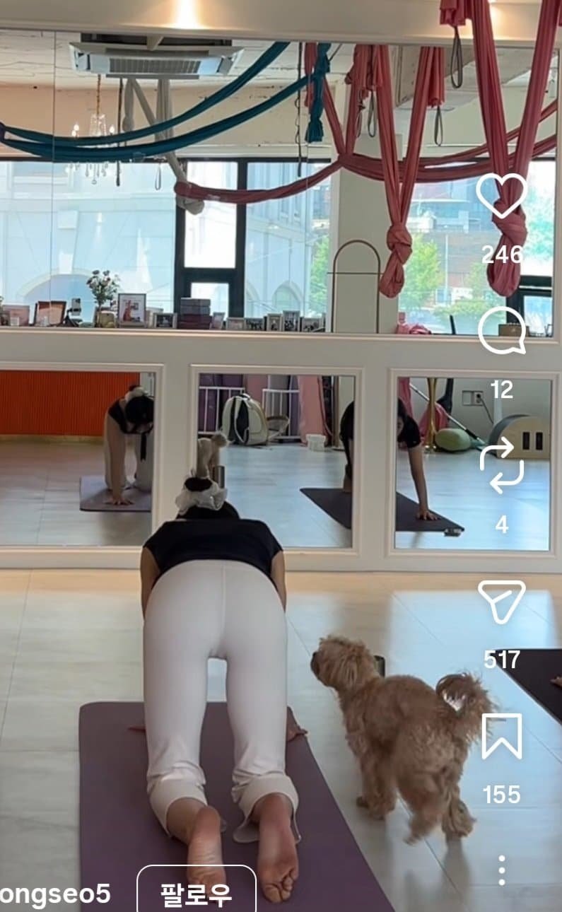 주안 방해하는 강아지 3