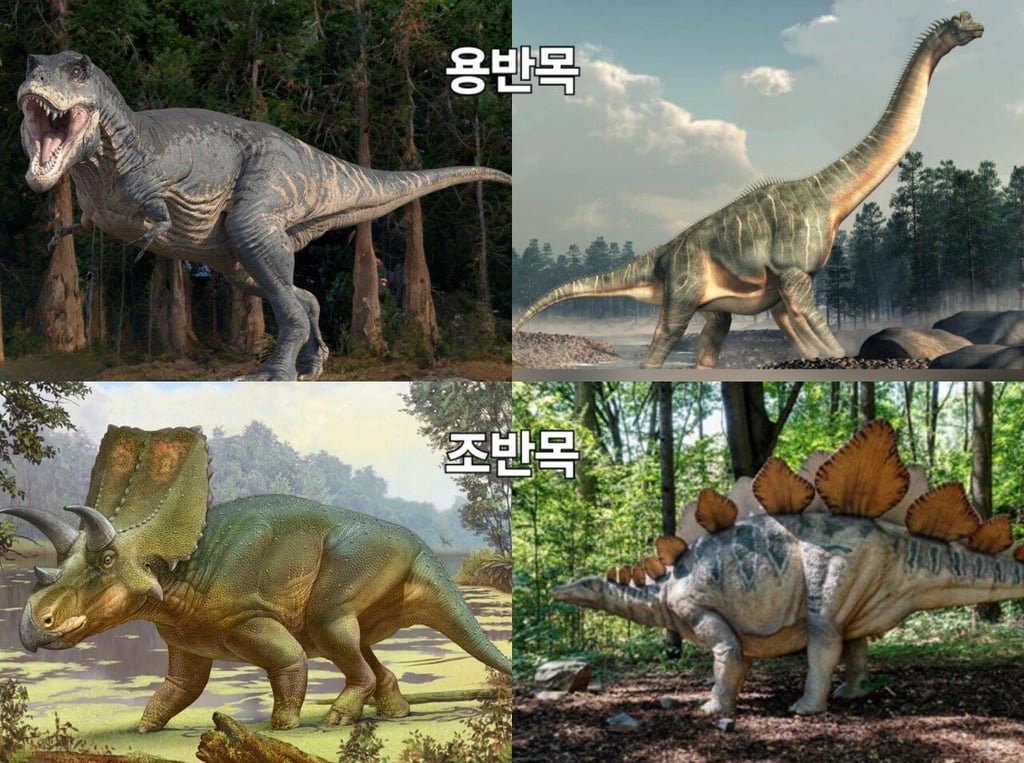 치킨도 공룡이라는 충격적 사실ㄷㄷ 4