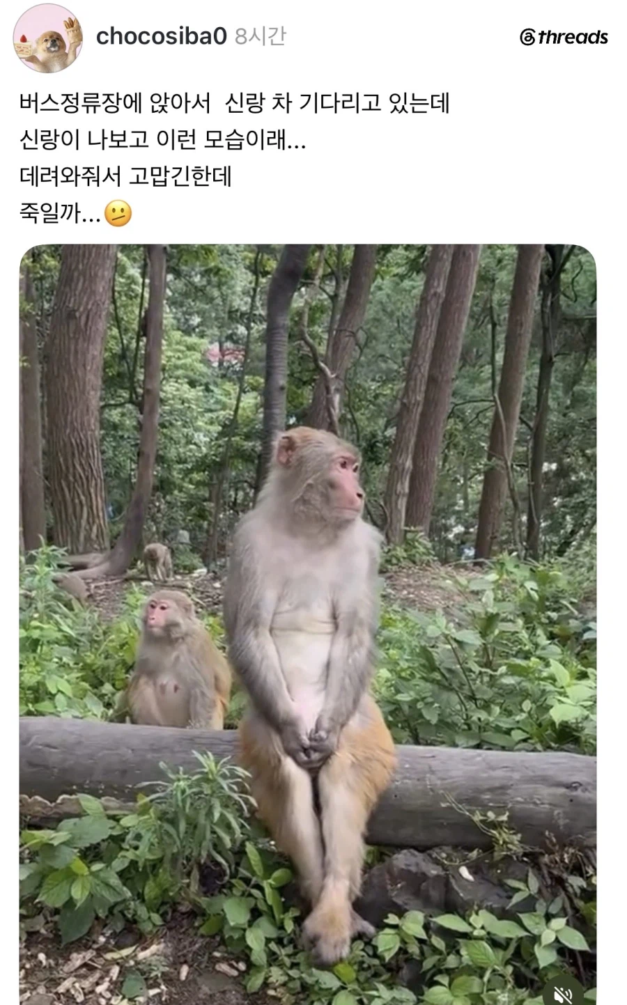 남편 차 기다리는 부인 모습 ㅋㅋㅋㅋㅋㅋㅋ