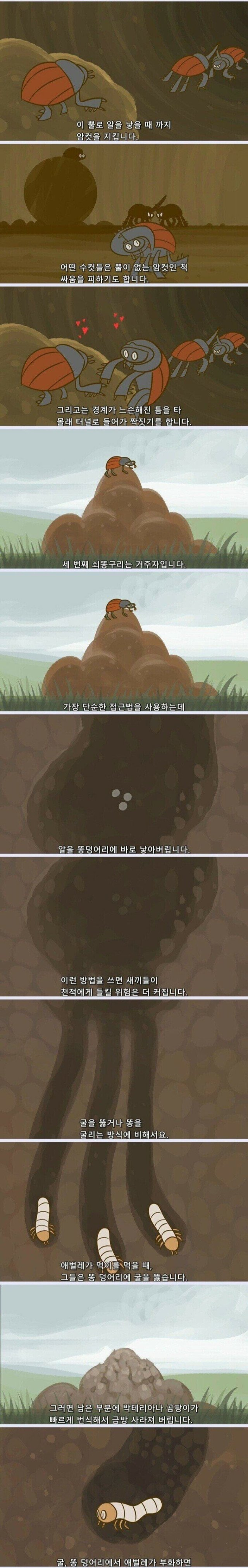 지구가 똥으로 뒤덮히지 않는 이유 (김 주의, 요약O) 4