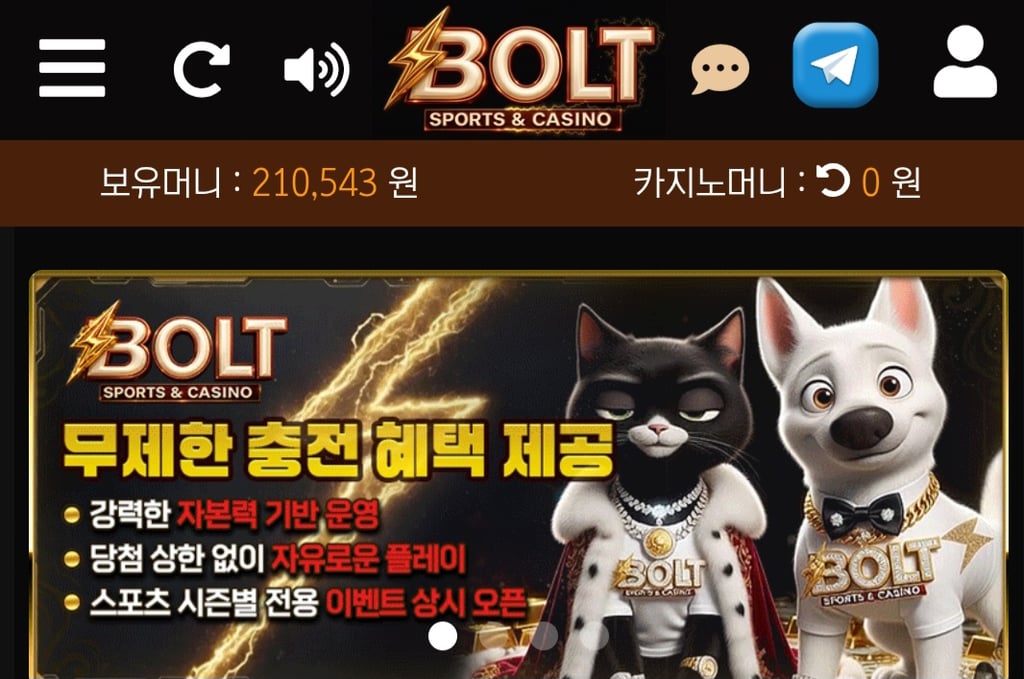 볼트카지노 후기 1