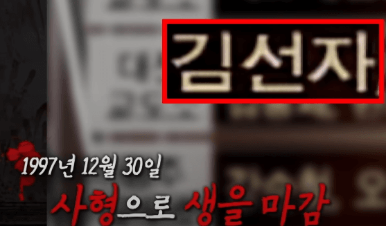 국민들에게 충격을 안겨준 김선자 사건 26
