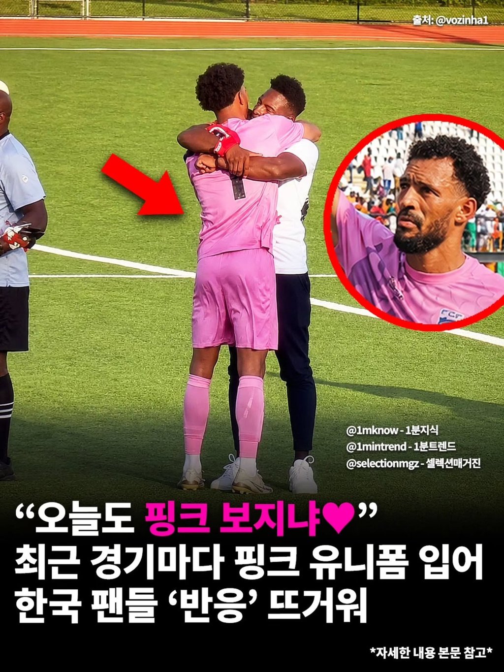 핑보 vs 백보 vs 흑보 1