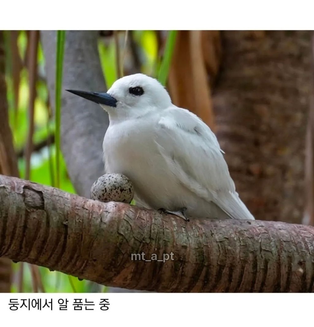 태어난김에 대충 사는 새 ㅋㅋㅋ 3