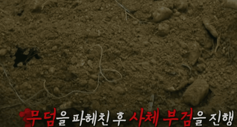국민들에게 충격을 안겨준 김선자 사건 16