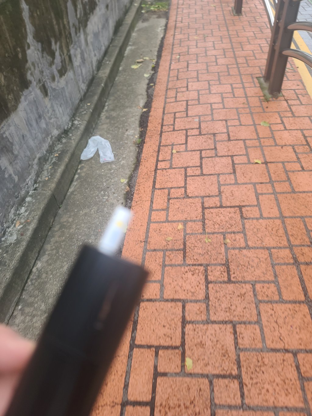 모닝 쌈배