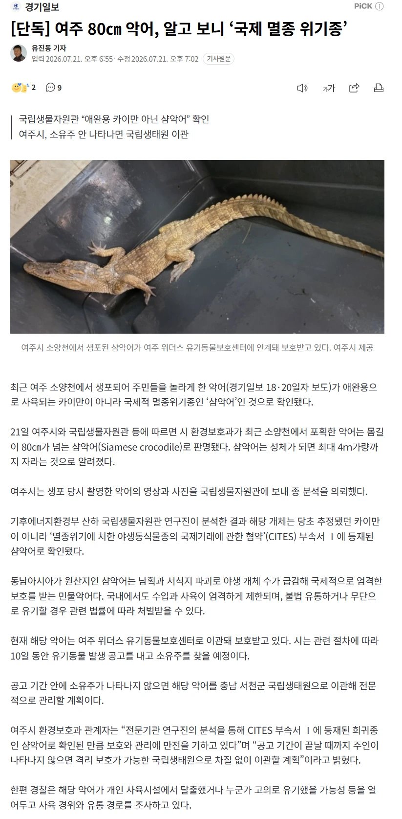 이번에 나타난 여주악어 정체 ㅎㄷㄷㄷ