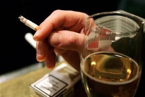 파란쥐 만들다 발견한 신체 장벽 13