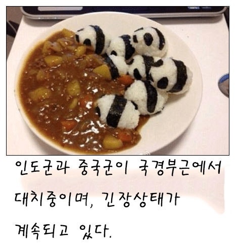 인도군과 중국군이 대치중