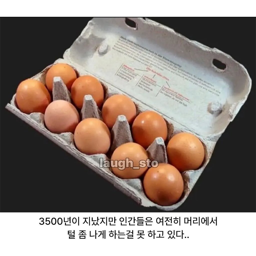 인류가 3000년동안 정복하지 못한것 4