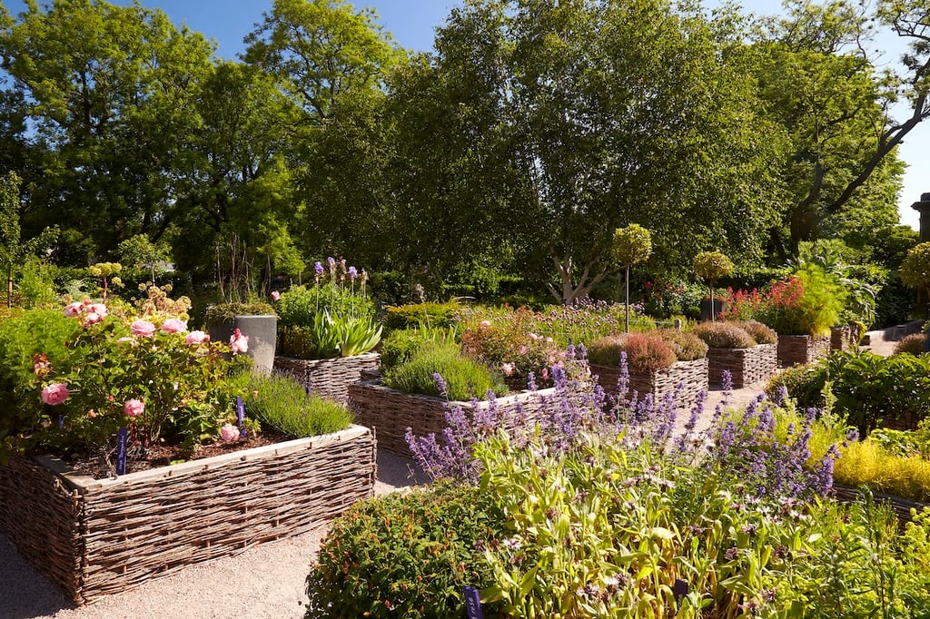 beechgrove-garden-to-highlight-edinburgh-s-physic-garden-the