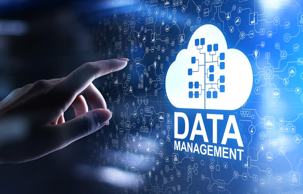 Top 5 Data Management Companies That Ensure Data Security