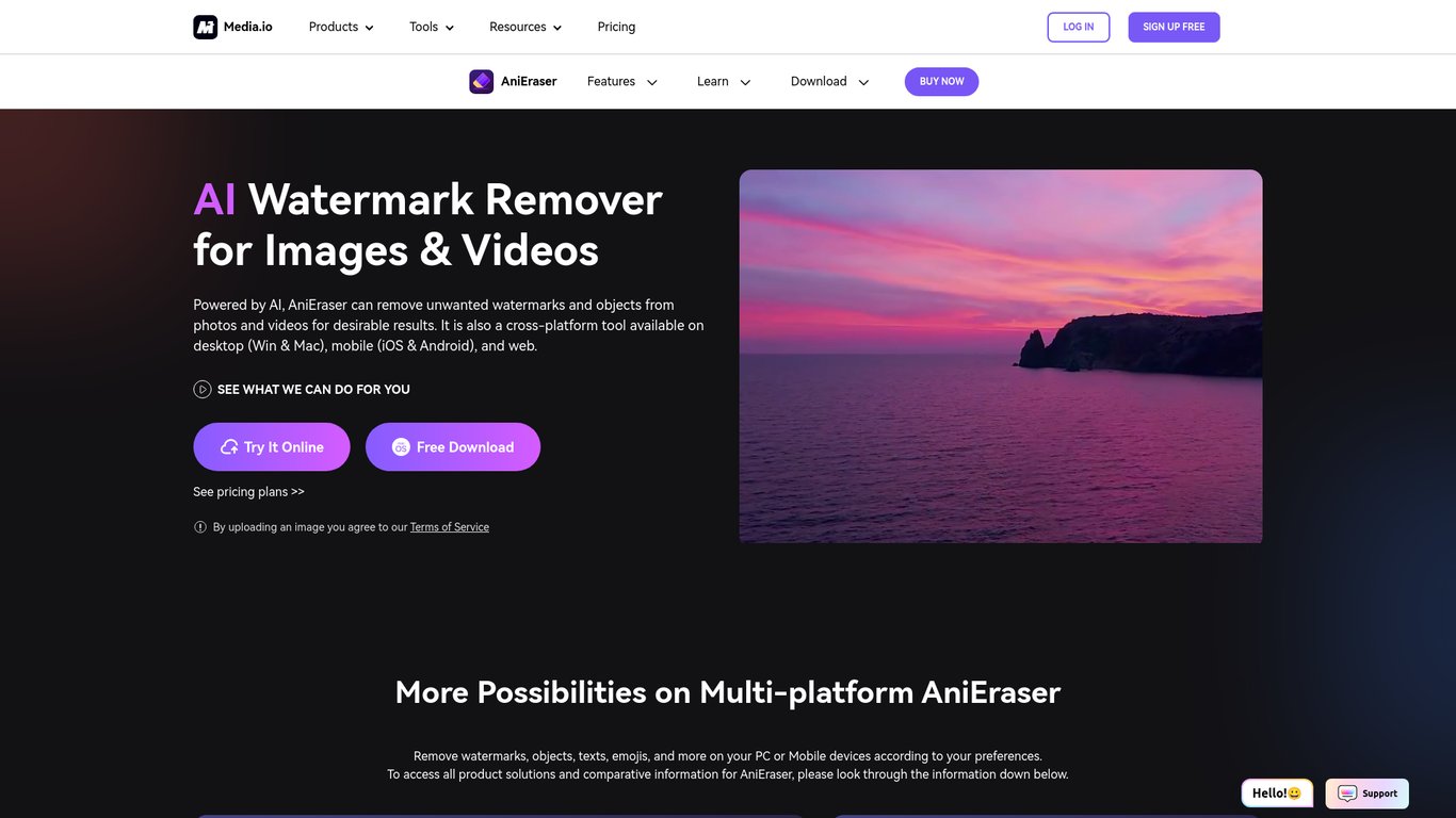 Thumbnail image for AniEraser