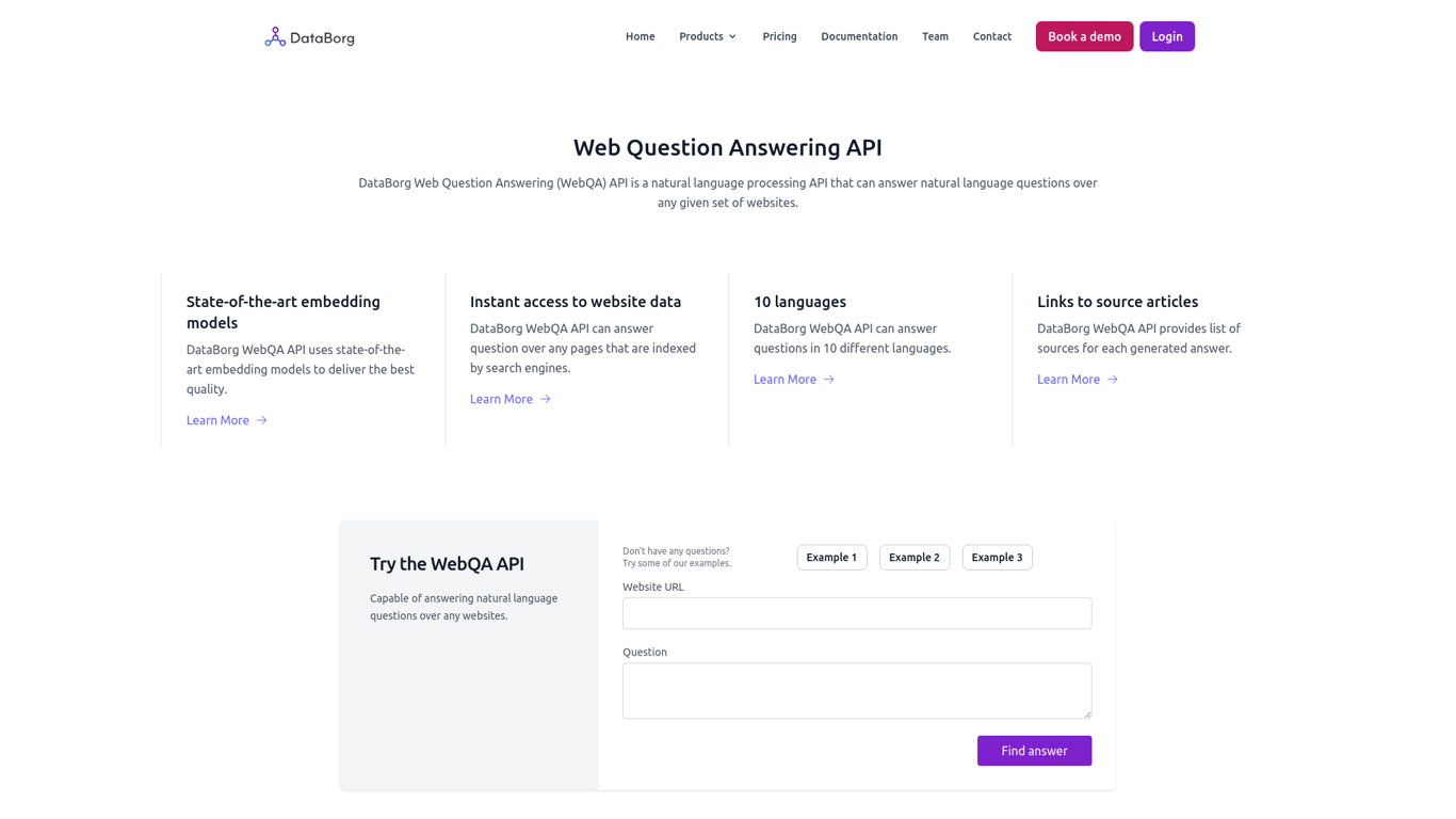 Databorg.ai