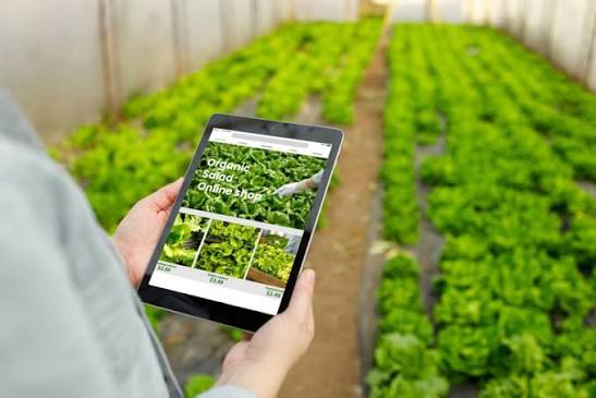 How Digital Marketing Helps Agriculture Businesses Grow Online