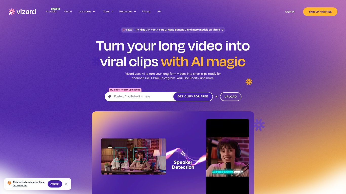 Vizard