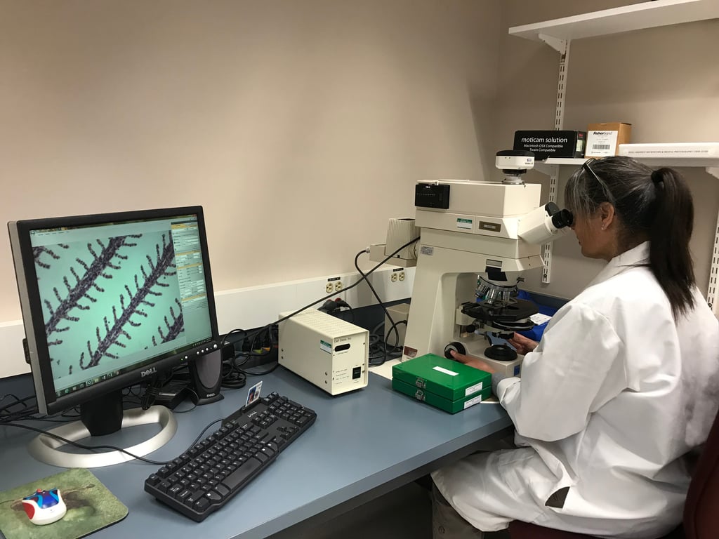 Anthropic invites life-science labs to propose short research collaborations with Claude